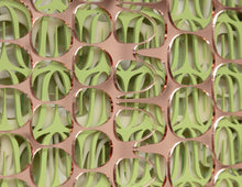 February 8 Rose Mirror