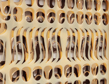 November 30 Ivory 2146