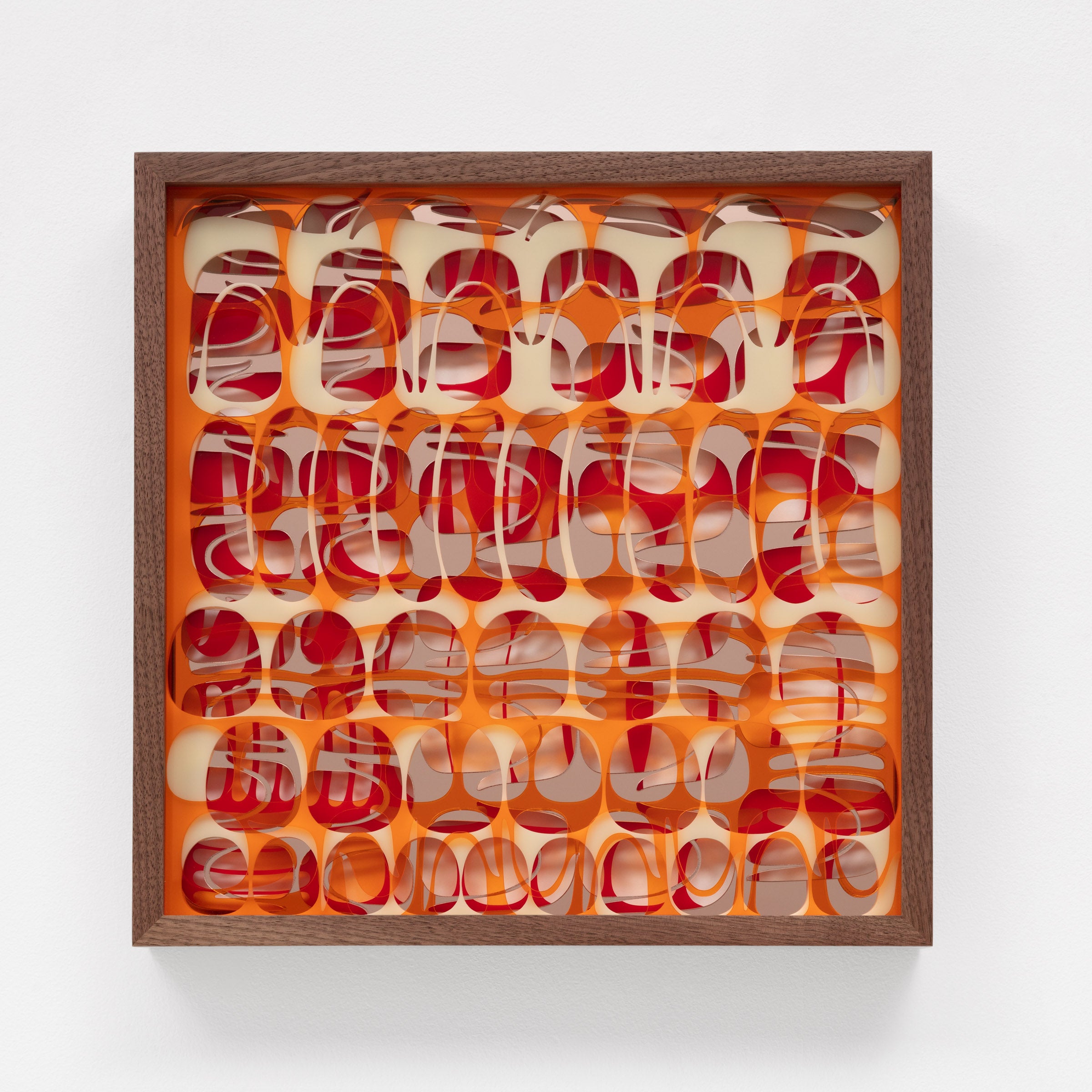 June 22 Translucent Orange 2422