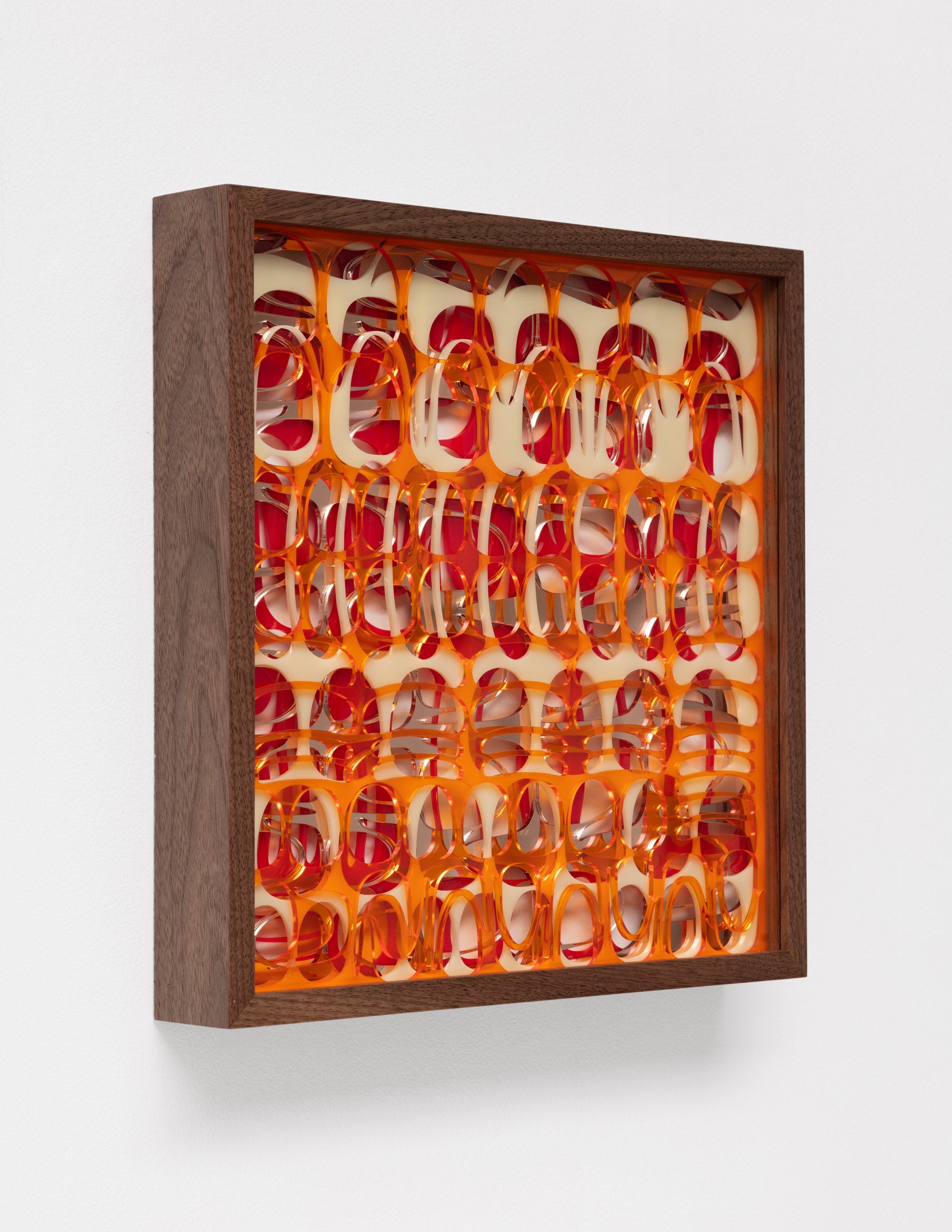 June 22 Translucent Orange 2422