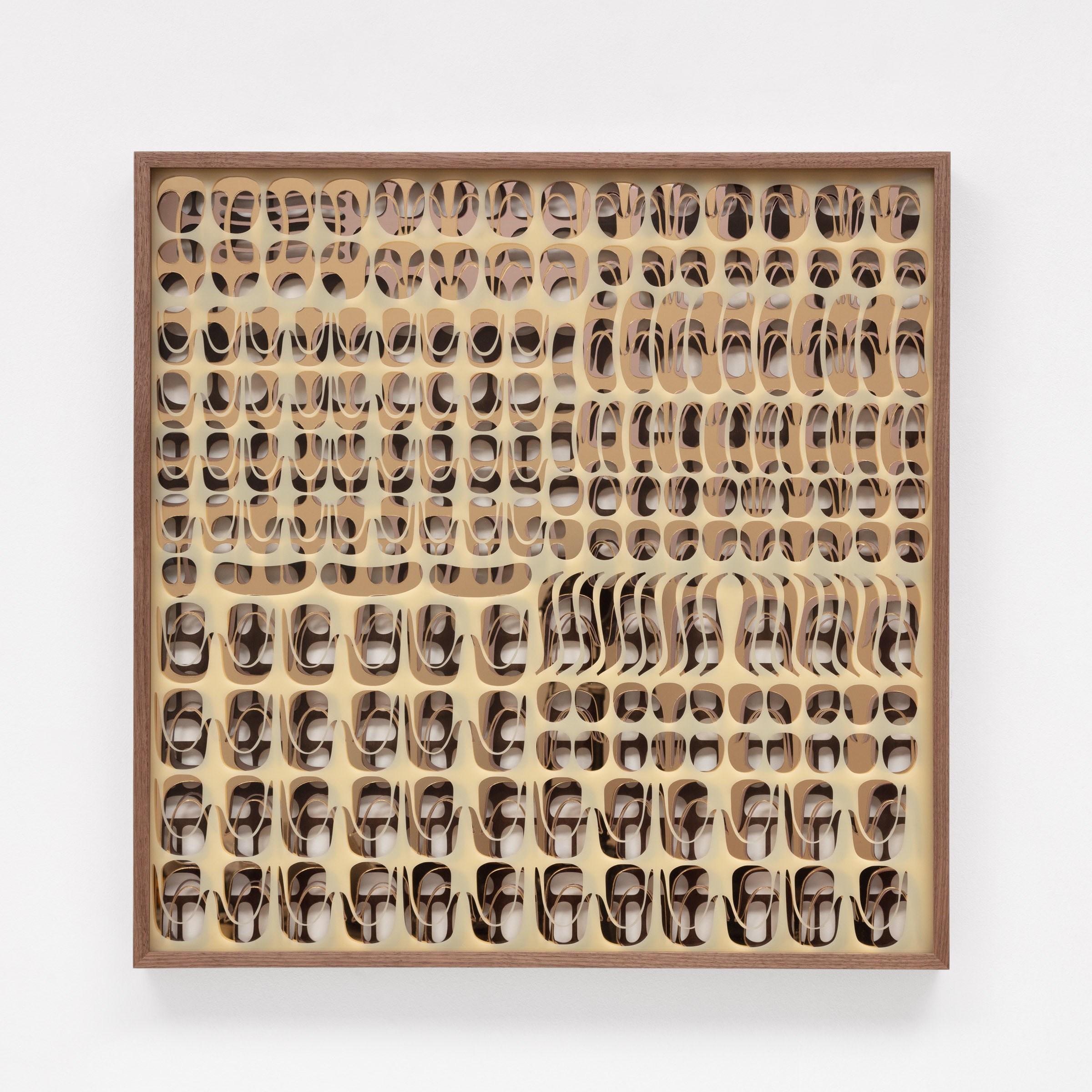 November 30 Ivory 2146
